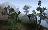 Morrowind_090606_1832445