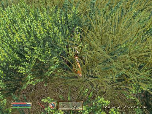 Elder Scrolls IV: Oblivion, The - Дневник имперского гастарбайтера