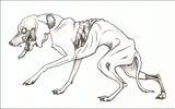 Zombie_dog_by_nikkiburr