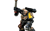 Sm_chaplain_imperial_fists_200x200