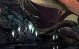 Sylvari2_blog_header3