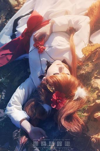 Обо всем - [Best Anime Cosplay] Подборка косплея Хоро (Spice and Wolf)