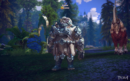 TERA: The Exiled Realm of Arborea - TERA Online. Мой блог или путешествие по миру.