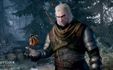 The-witcher-3-wild-hunt-getting-paid-best-part-of-the-job