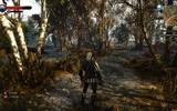 Witcher3_2015-05-22_02-33-16-96