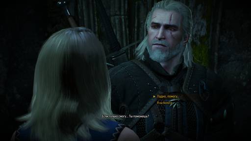 The Witcher 3: Wild Hunt - Полное прохождение сюжетных заданий Велена в The Witcher 3: Wild Hunt