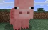 Minecraft_1__1_